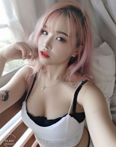 麻豆电影在线播放